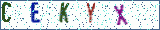 Type the letters shown in the picture