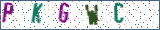 Type the letters shown in the picture