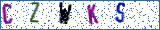 Type the letters shown in the picture