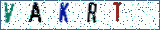 Type the letters shown in the picture