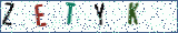 Type the letters shown in the picture