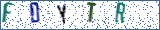 Type the letters shown in the picture