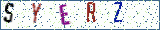 Type the letters shown in the picture