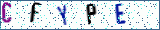 Type the letters shown in the picture