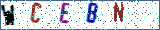 Type the letters shown in the picture
