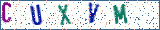 Type the letters shown in the picture