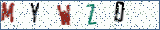 Type the letters shown in the picture