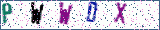 Type the letters shown in the picture
