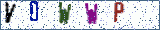 Type the letters shown in the picture