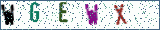 Type the letters shown in the picture