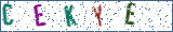 Type the letters shown in the picture