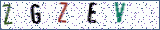 Type the letters shown in the picture
