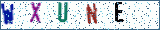 Type the letters shown in the picture