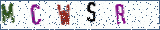 Type the letters shown in the picture
