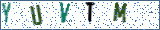 Type the letters shown in the picture