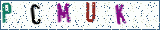 Type the letters shown in the picture