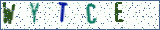 Type the letters shown in the picture