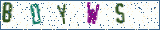 Type the letters shown in the picture