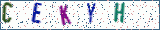 Type the letters shown in the picture