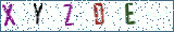 Type the letters shown in the picture