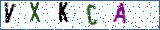 Type the letters shown in the picture