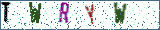 Type the letters shown in the picture