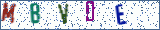 Type the letters shown in the picture