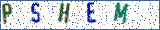 Type the letters shown in the picture