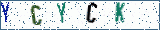 Type the letters shown in the picture