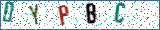 Type the letters shown in the picture