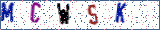 Type the letters shown in the picture
