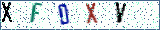 Type the letters shown in the picture