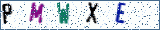 Type the letters shown in the picture