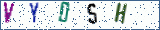 Type the letters shown in the picture