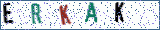 Type the letters shown in the picture