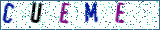 Type the letters shown in the picture