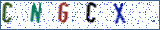 Type the letters shown in the picture