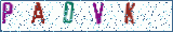 Type the letters shown in the picture