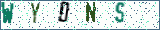 Type the letters shown in the picture