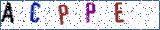 Type the letters shown in the picture