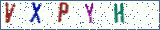 Type the letters shown in the picture