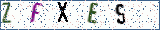 Type the letters shown in the picture