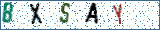 Type the letters shown in the picture