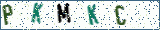 Type the letters shown in the picture