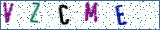 Type the letters shown in the picture