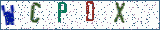 Type the letters shown in the picture