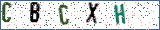 Type the letters shown in the picture