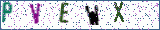 Type the letters shown in the picture