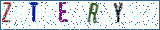 Type the letters shown in the picture