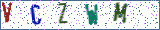 Type the letters shown in the picture